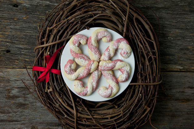 Vegan Candy Cane Cookies // picklesnhoney.com