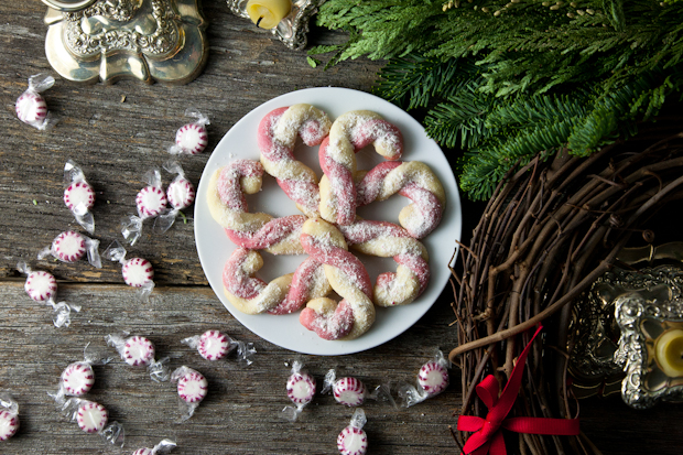 Vegan Candy Cane Cookies // picklesnhoney.com