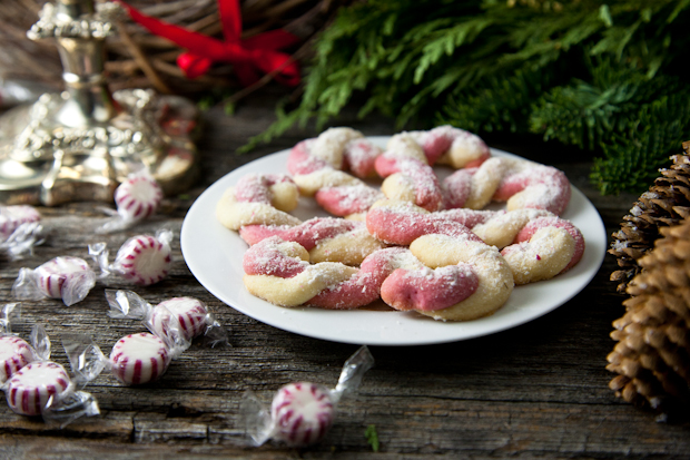 Vegan Candy Cane Cookies // picklesnhoney.com