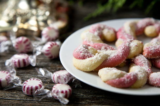 Vegan Candy Cane Cookies // picklesnhoney.com