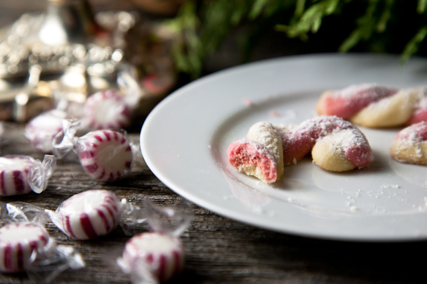 Vegan Candy Cane Cookies // picklesnhoney.com